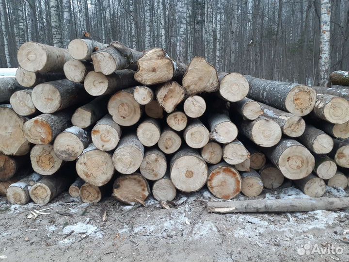 Имеется в продаже Осина,Липа,Береза и Хвоя