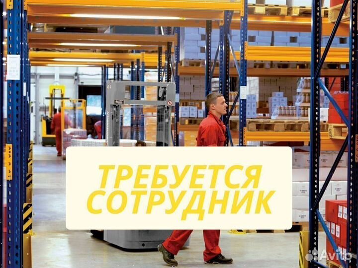 Водитель штабеллера