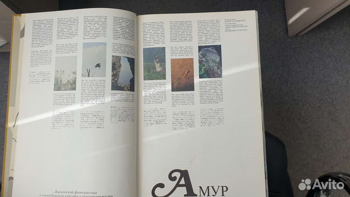 Книга фотоальбом Амур
