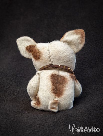 Смешной тедди бульдог