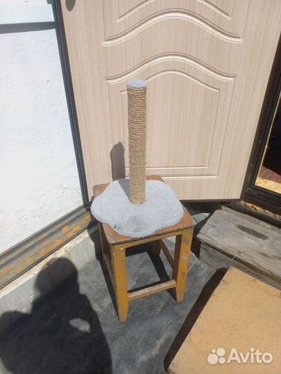 Когтеточка для кошек