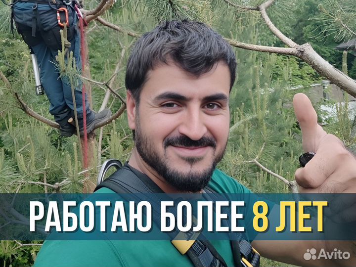 Садовник / Обрезка деревьев и кустарников