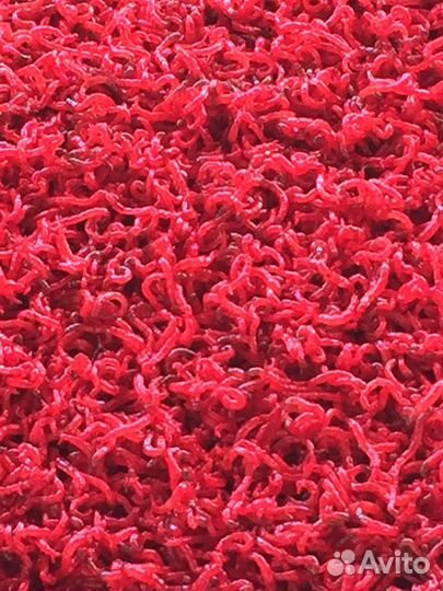 Живые корма для рыбок