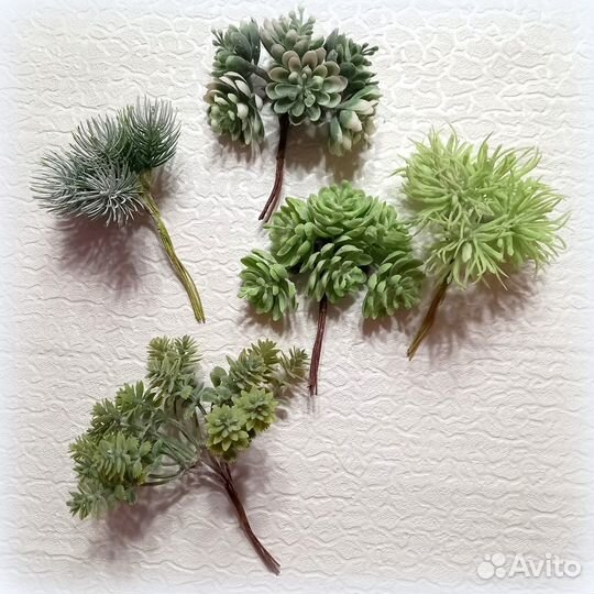 Суккуленты искусственные для творчества