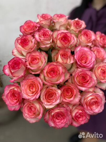 25 роз джумилия