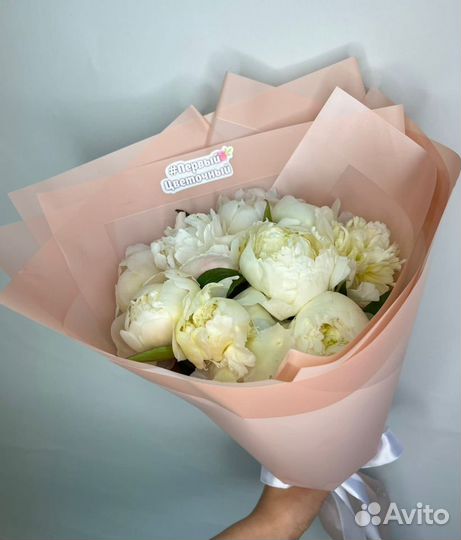 Белые пионы