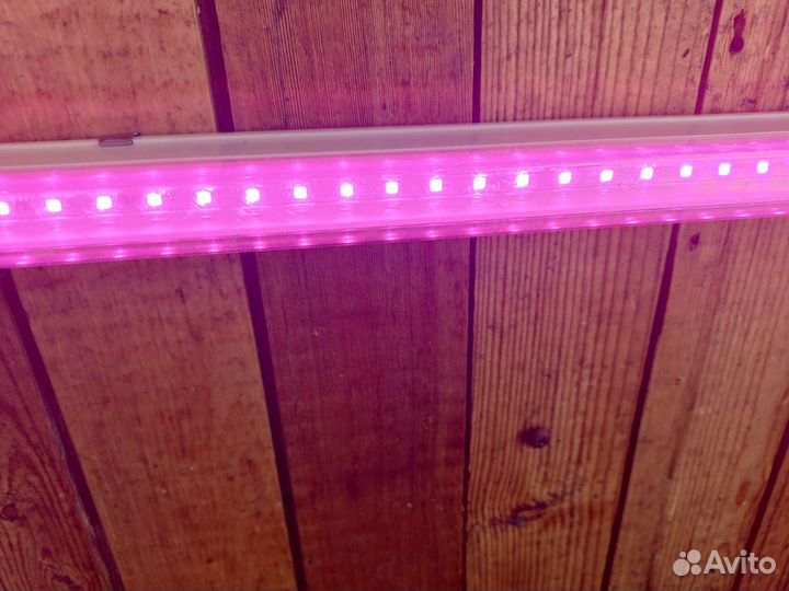 Фитолампа для рассады
