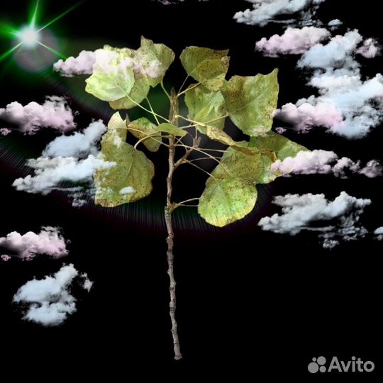 Услуги фотошопа любой сложности ретушь обработка в