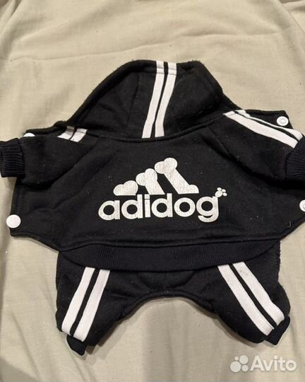 Одежда для маленьких собак