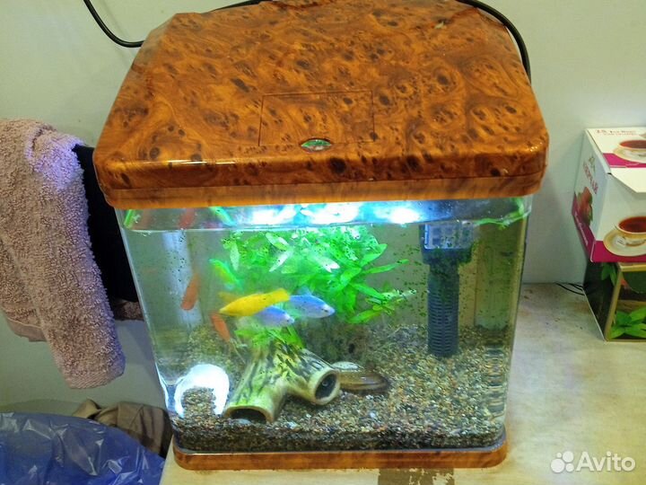 Аквариум с 8 рыбой