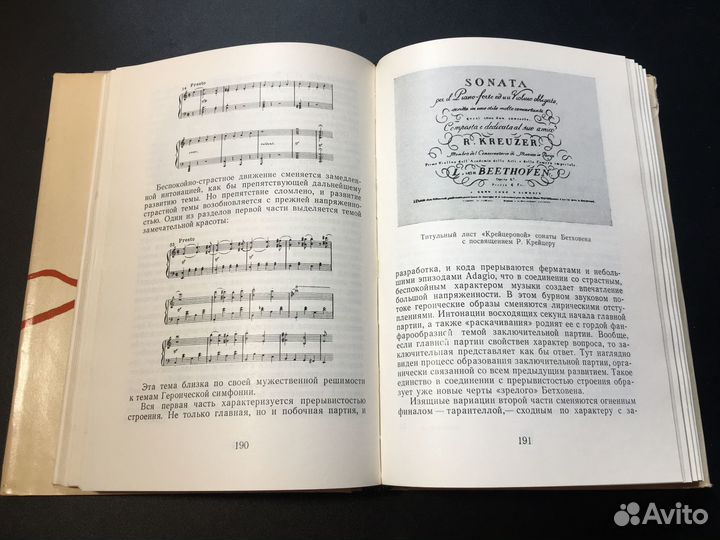 Людвиг ван Бетховен (очерк жизни и творчества)