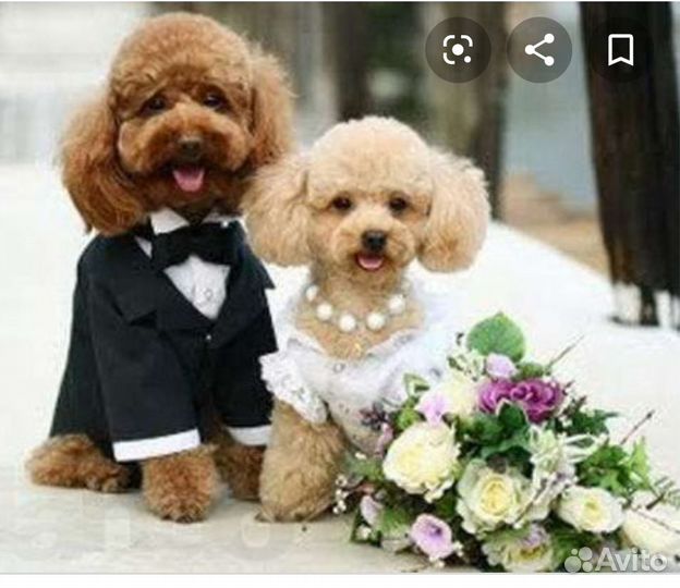 Инструктор по вязкам