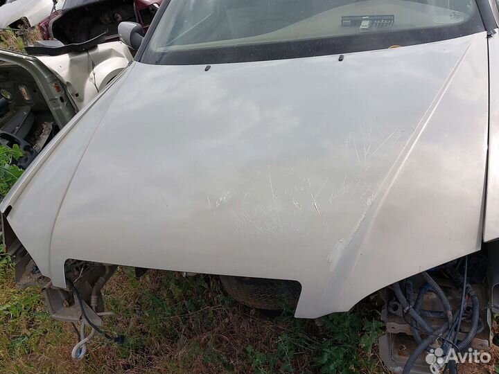 Капот черри амулет вортекс корда