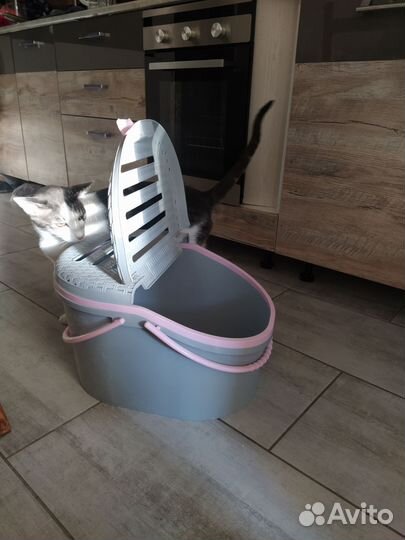 Корзина переноска для животных