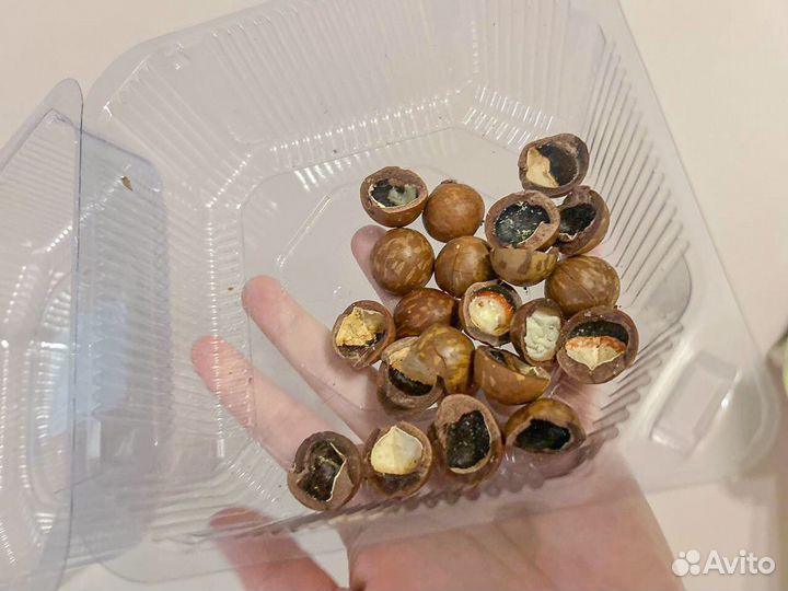 Скорлупа ореха макадамия 40 г