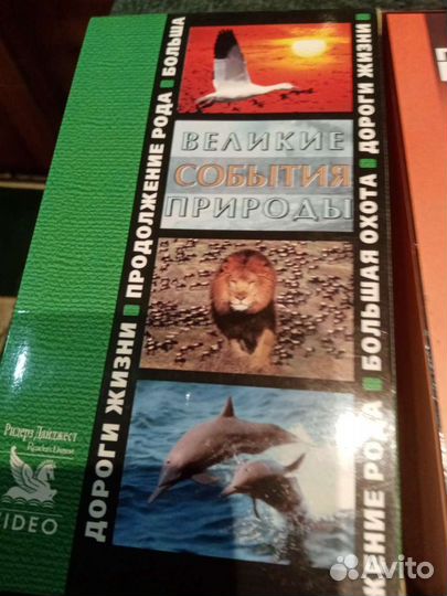 Видеокасеты