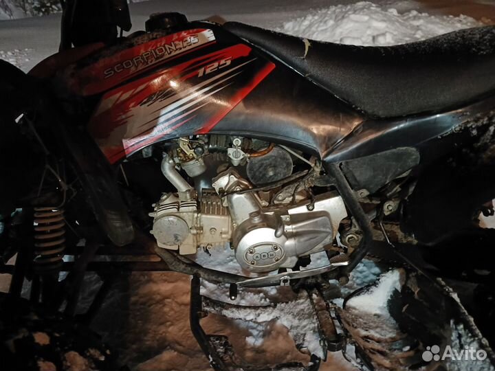 Квадроцикл Scorpion 125 abm