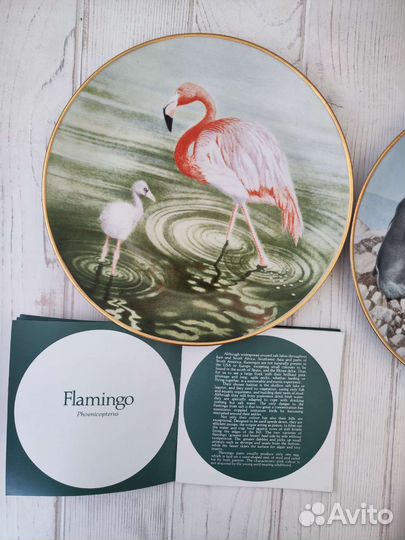 Полный комплект 12 Waterbird Plates