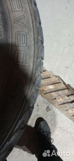 Gislaved Nord Frost 5 195/65 R15