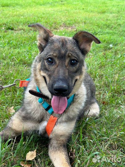 Ребенок в приюте