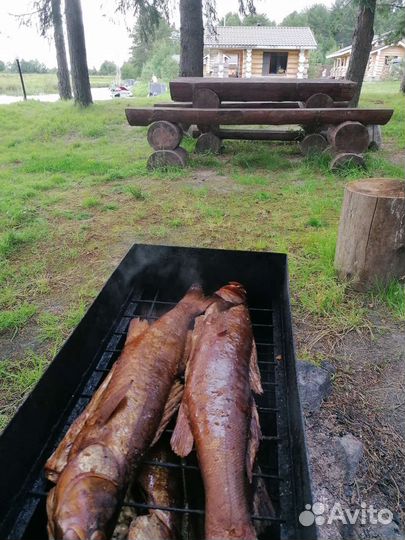 Рыбалка в Карелии на Онежском озере под ключ