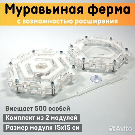 Муравьиная ферма 