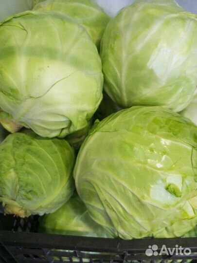 Овощи с доставкой