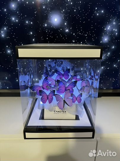 Композиции из бабочек