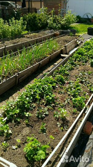 Помощник в хозяйстве, домашний мастер