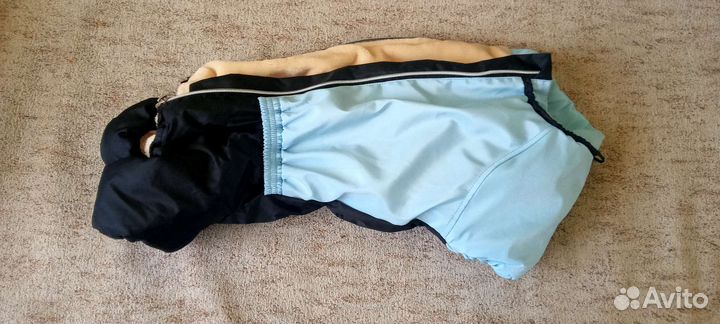 Костюм для собаки