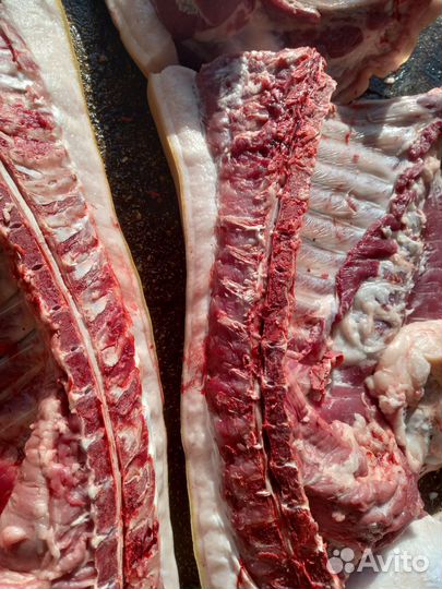 Мясо свинина домашняя