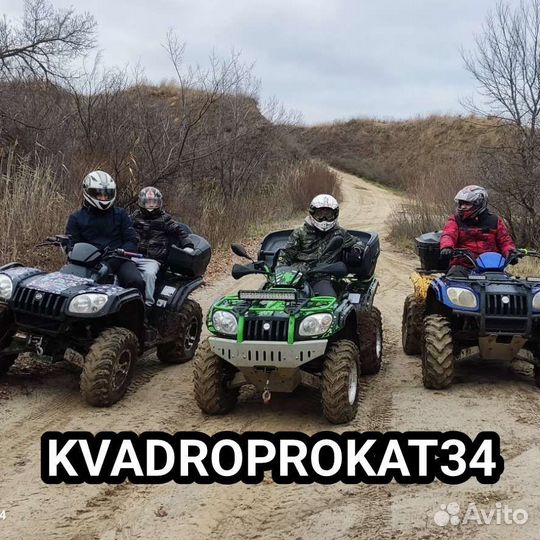 Прогулки на квадроциклах