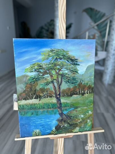 Картина маслом Крымская сосна