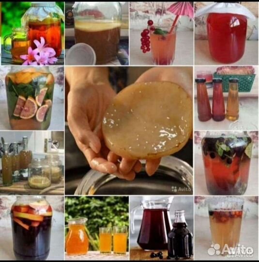 Чайный гриб.Комбуча и продукты из неë