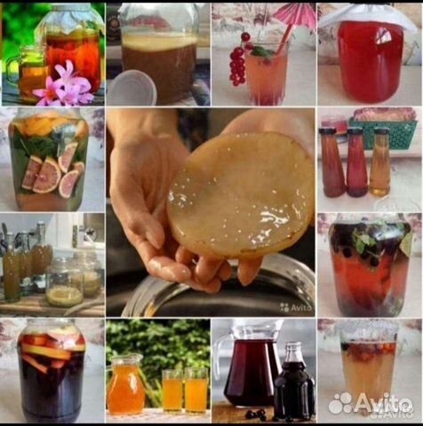 Чайный гриб.Комбуча и продукты из неë