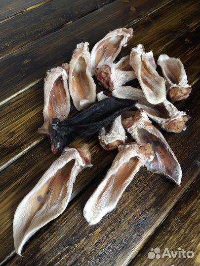 Лакомства для собак