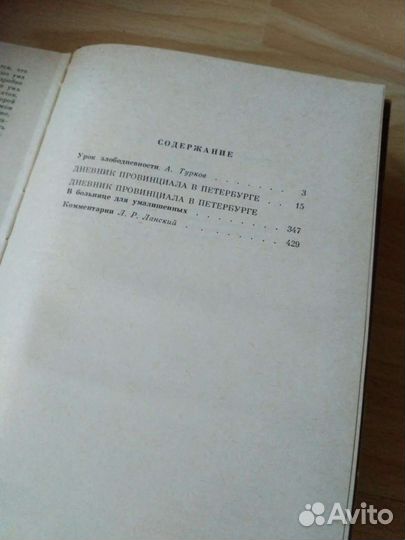 Дневник провинциала в Петербурге