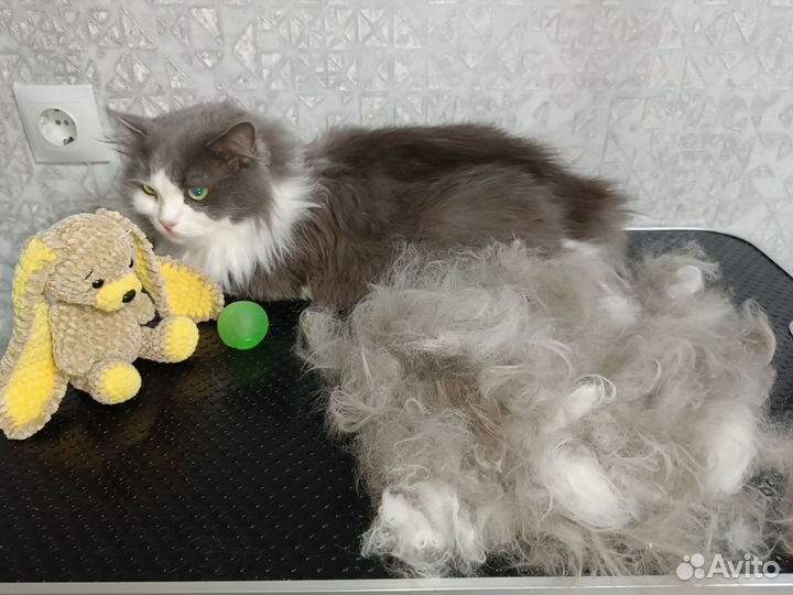 Грумер / Экспресс линька /комплекс, стрижка