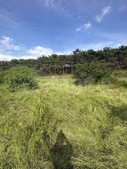 Участок 11,4 сот. (СНТ, ДНП)