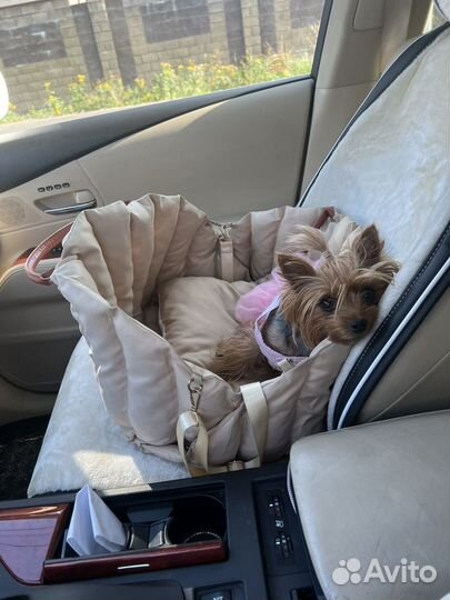 Сумка переноска новая