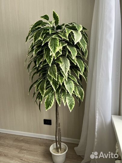 Продам искусственное дерево
