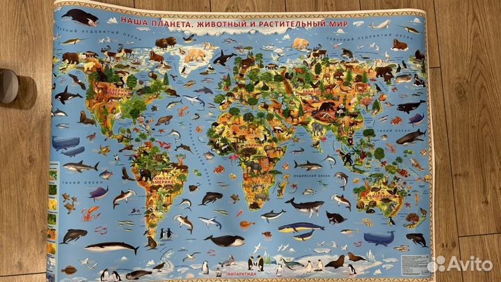 Карта животного и растительного мира