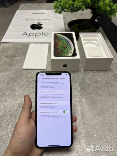 iPhone Xs Max, 256 ГБ