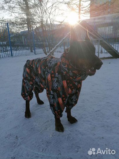 Зимний комбинезон на большую собаку