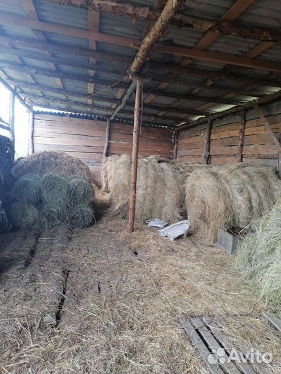 Сено в рулонах 2023