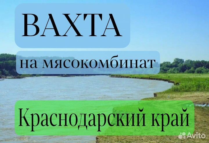 Вахта на мясокомбинат Рабочий Краснодарский край