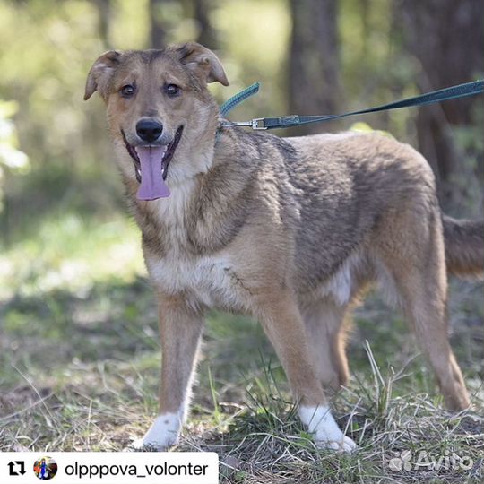 Ваня ищет друга