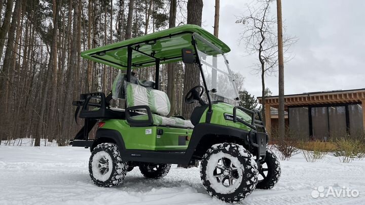 Новый гольфкар Eruzo Country 4 LFP 160 AH