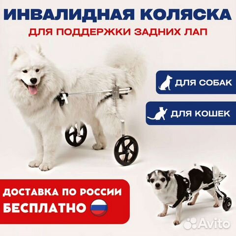 Инвалидная коляска для собаки