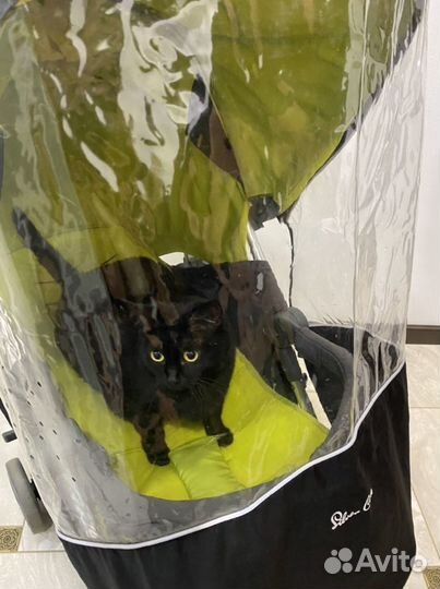 Прогулочная коляска в самолет silver cross reflex